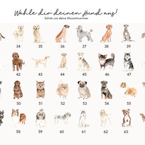 Pet passport dog various breeds available image 3