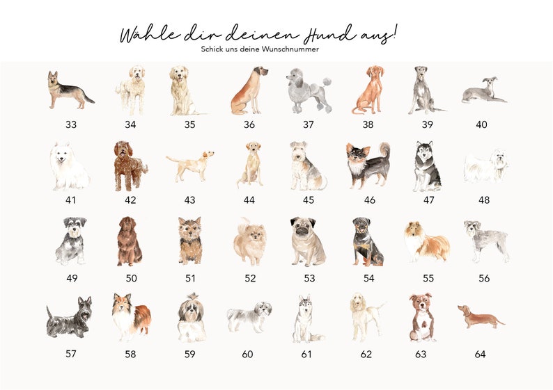 Pet passport dog various breeds available image 3