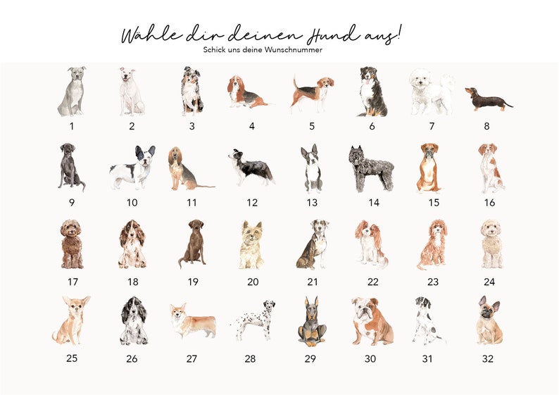 Pet passport dog various breeds available image 2