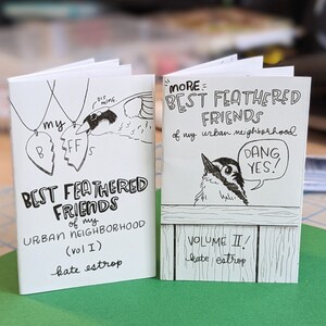 Bird Mini Comic Zine: Best Feathered Friends of My Urban Neighborhood, Vol 1 & 2