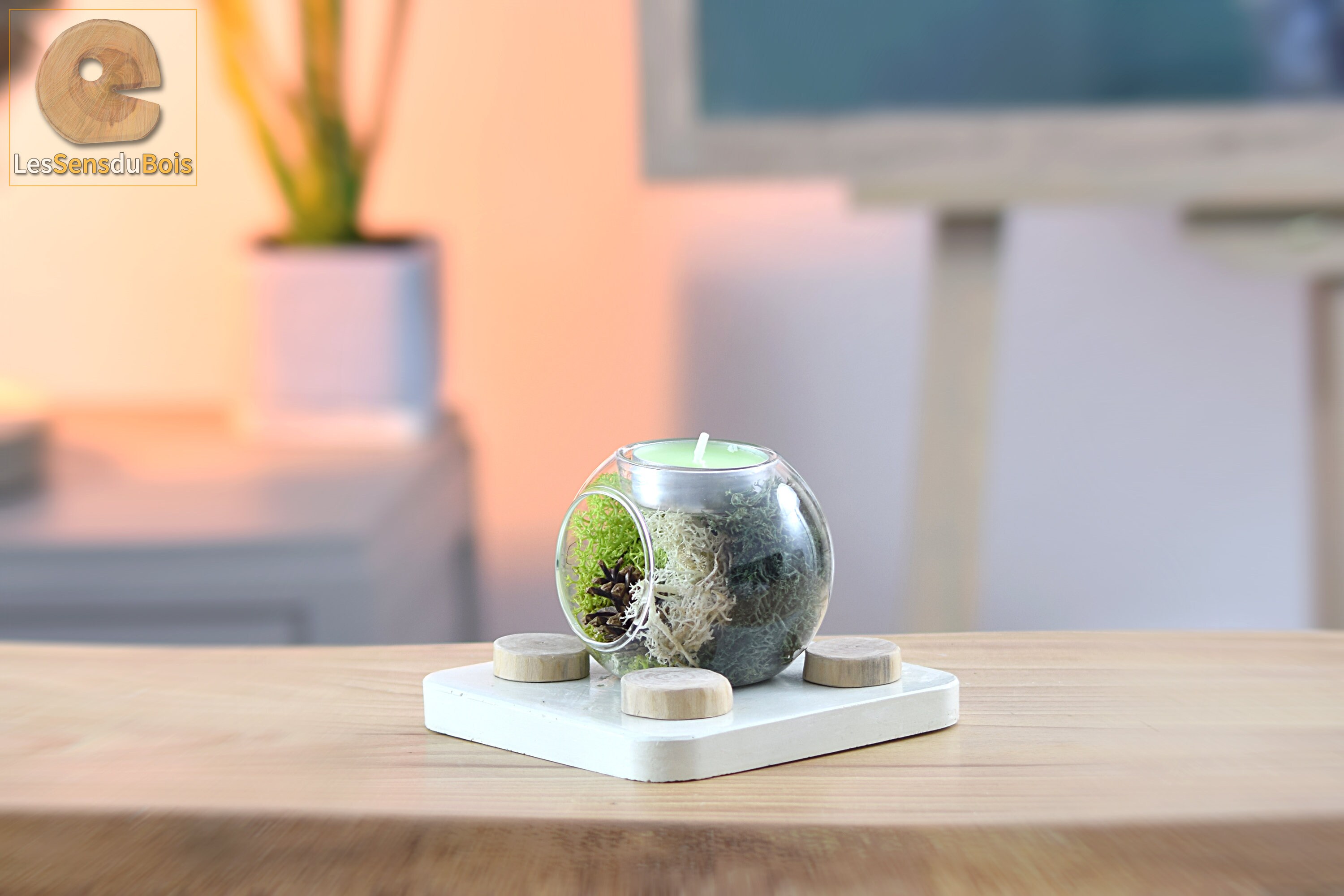 Bougeoir avec Mousse Naturelle