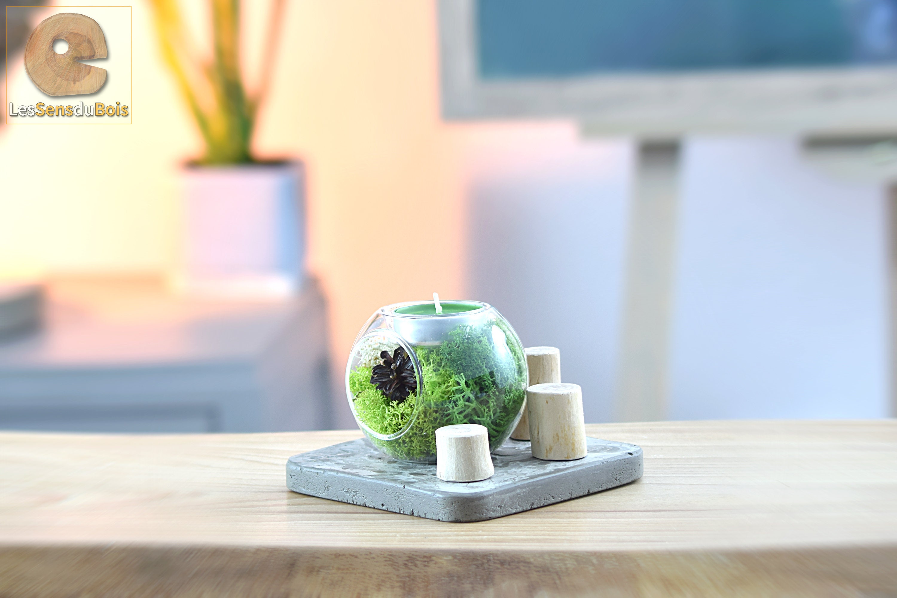 Bougeoir avec Mousse Naturelle