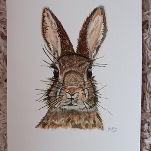 May include: Watercolor painting of a brown rabbit with long ears and whiskers. The rabbit is looking directly at the viewer with a curious expression.