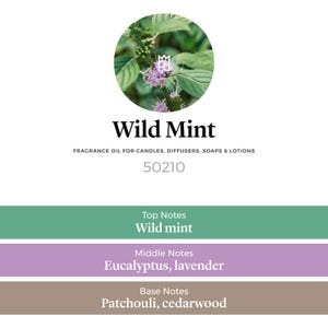 K&ouml;nnte beinhalten: Nahaufnahme einer gr&uuml;nen Pflanze mit violetten Bl&uuml;ten. Der Text "Wild Mint" ist in Schwarz unter dem Bild geschrieben. Der Text "FRAGRANCE OIL FOR CANDLES, DIFFUSERS, SOAPS & LOTIONS" ist in Schwarz unter dem Text "Wild Mint" geschrieben. Der Text "50210" ist in Schwarz unter dem Text "FRAGRANCE OIL FOR CANDLES, DIFFUSERS, SOAPS & LOTIONS" geschrieben. Der Text "Top Notes" ist in Wei&szlig; auf gr&uuml;nem Hintergrund geschrieben. Der Text "Wild mint" ist in Wei&szlig; auf gr&uuml;nem Hintergrund geschrieben. Der Text "Middle Notes" ist in Wei&szlig; auf lila Hintergrund geschrieben. Der Text "Eucalyptus, lavender" ist in Wei&szlig; auf lila Hintergrund geschrieben. Der Text "Base Notes" ist in Wei&szlig; auf braunem Hintergrund geschrieben. Der Text "Patchouli, cedarwood" ist in Wei&szlig; auf braunem Hintergrund geschrieben.