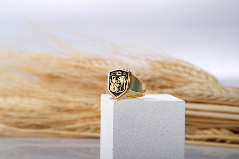 Family Crest Coat of Arms Shield Signet Ring, Sterling Silver Personalized Jewelry Gifts for Her and Him by NecklaceDreamWorld image 4