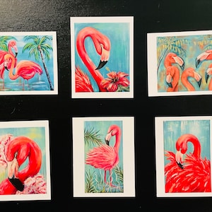 Cartes de correspondance Flamant rose