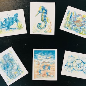 Créatures marines côtières