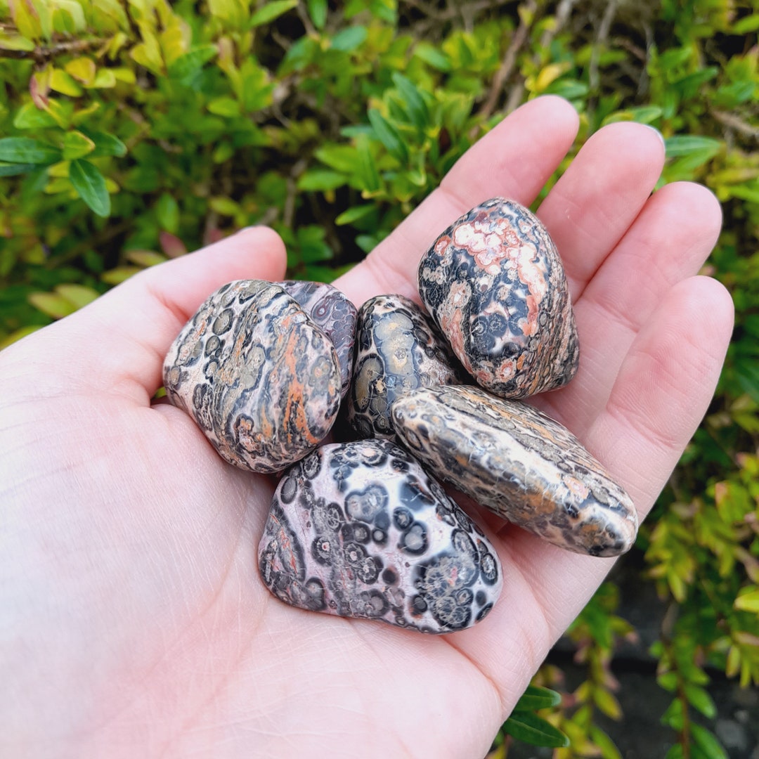 Leopard Skin Rhyolite Tumblestones Medium Polished Crystal Etsy