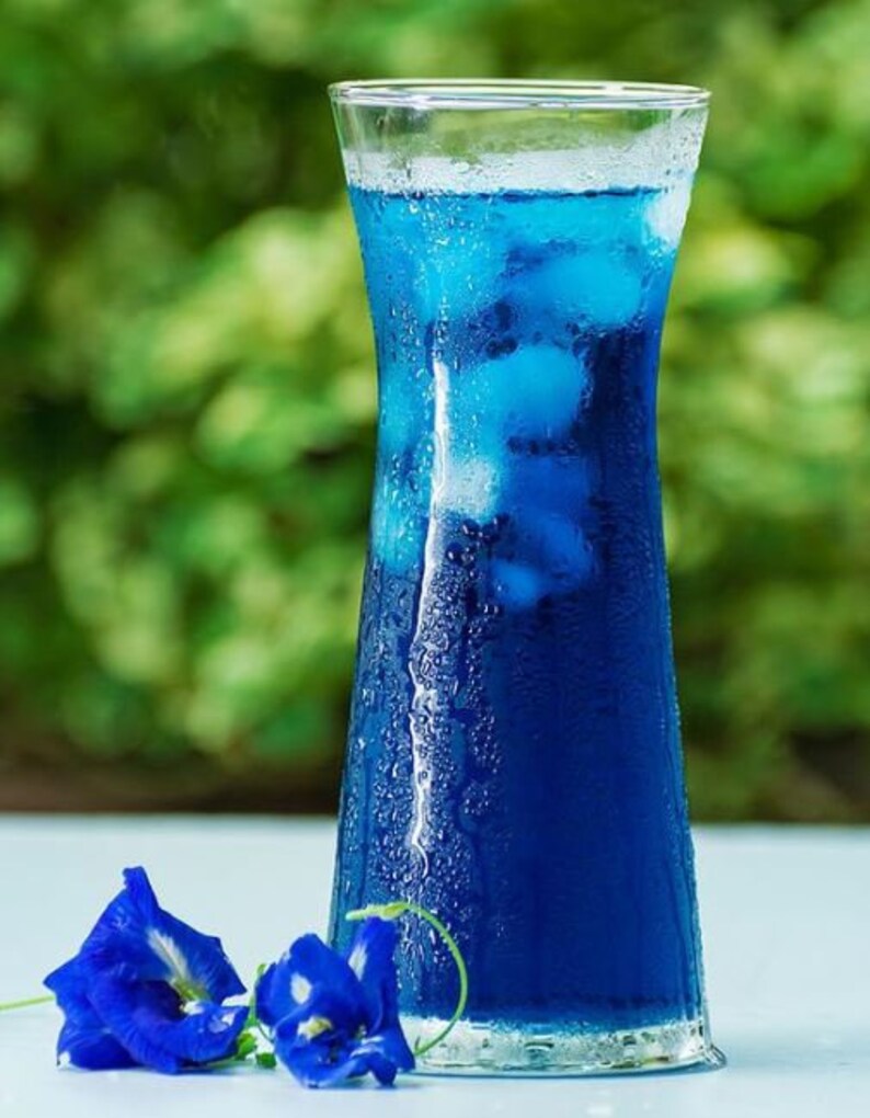 Pure Natural Organic Blue Butterfly Pea Tea Caffeine Free Etsy