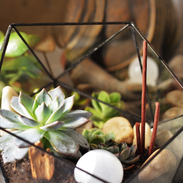 Semi Ico - icosahedron - Geometric Terrarium, Succulent Planter, Handmade Glass Terrarium, Orchid Terrarium, terrarium container