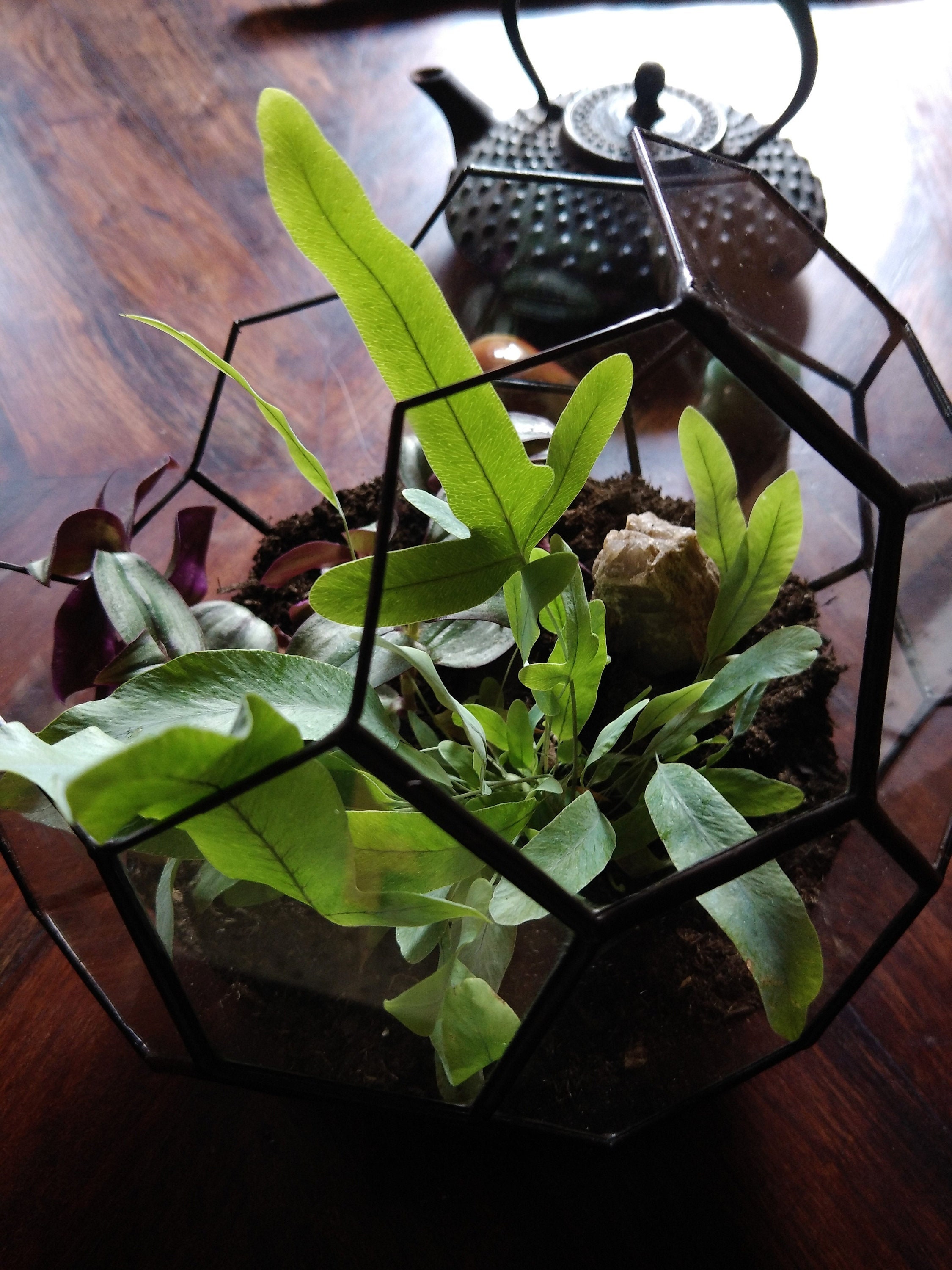 Icosaèdre Tronqué - Géométrie Sacrée Terrarium Géométrique