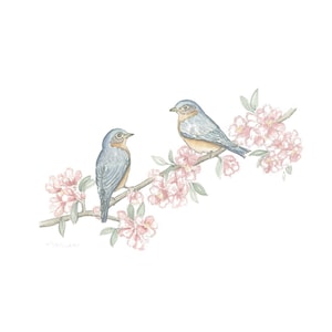 Impresiones de aves
