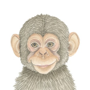 Monkey - Wild Animals Kollektion