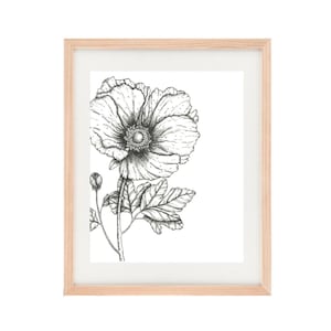Ink Floral &quot;Bloom&quot; Collection