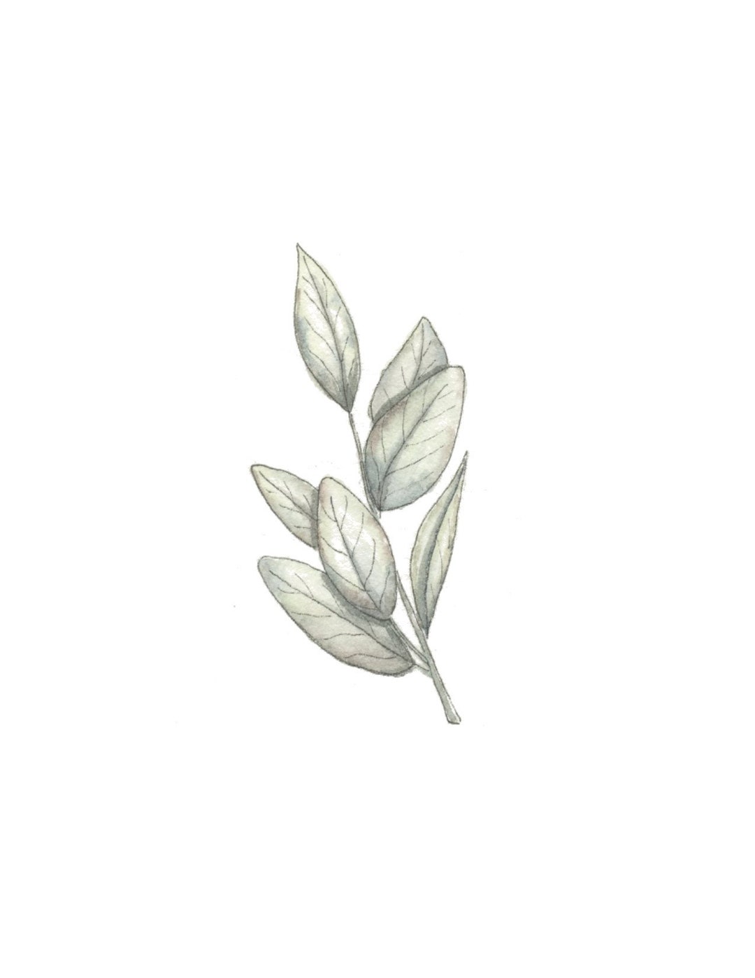 Sprigs Simple Leaves Watercolor Home Decor Etsy