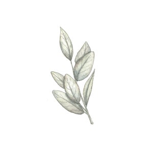 Sprigs Simple Leaves Watercolor Home Decor