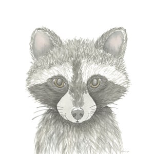 Rowan the Raccoon Watercolor Woodland Animal Decor Raccoon Painting