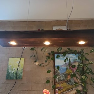 Peut inclure: Un luminaire de plafond en bois brun foncé avec trois ampoules. Le luminaire est suspendu au plafond et entouré de plantes vertes.