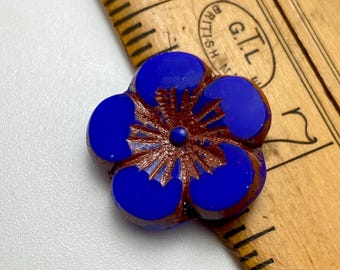 A single Czech glass hibiscus flower bead in sapphire blue with copper picasso wash against a wooden ruler for scale.