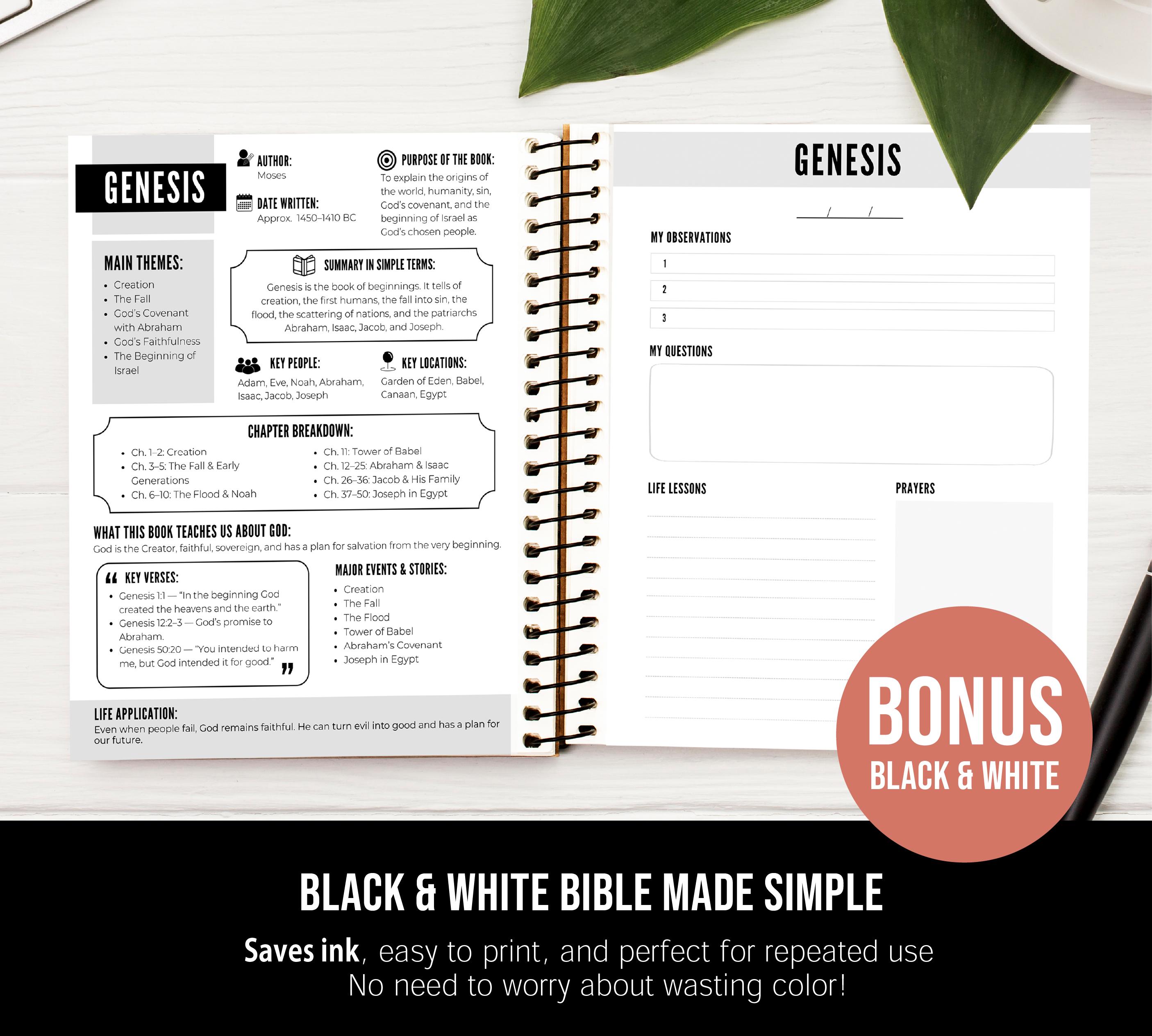 Books of the Bible Study Guides, Bible Book and Reflection 2 Sheet per ...