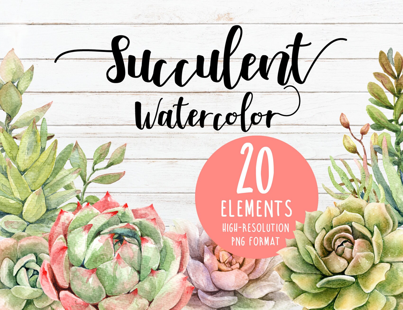 Watercolor Succulents Clipart Individual Element Handmade | Etsy