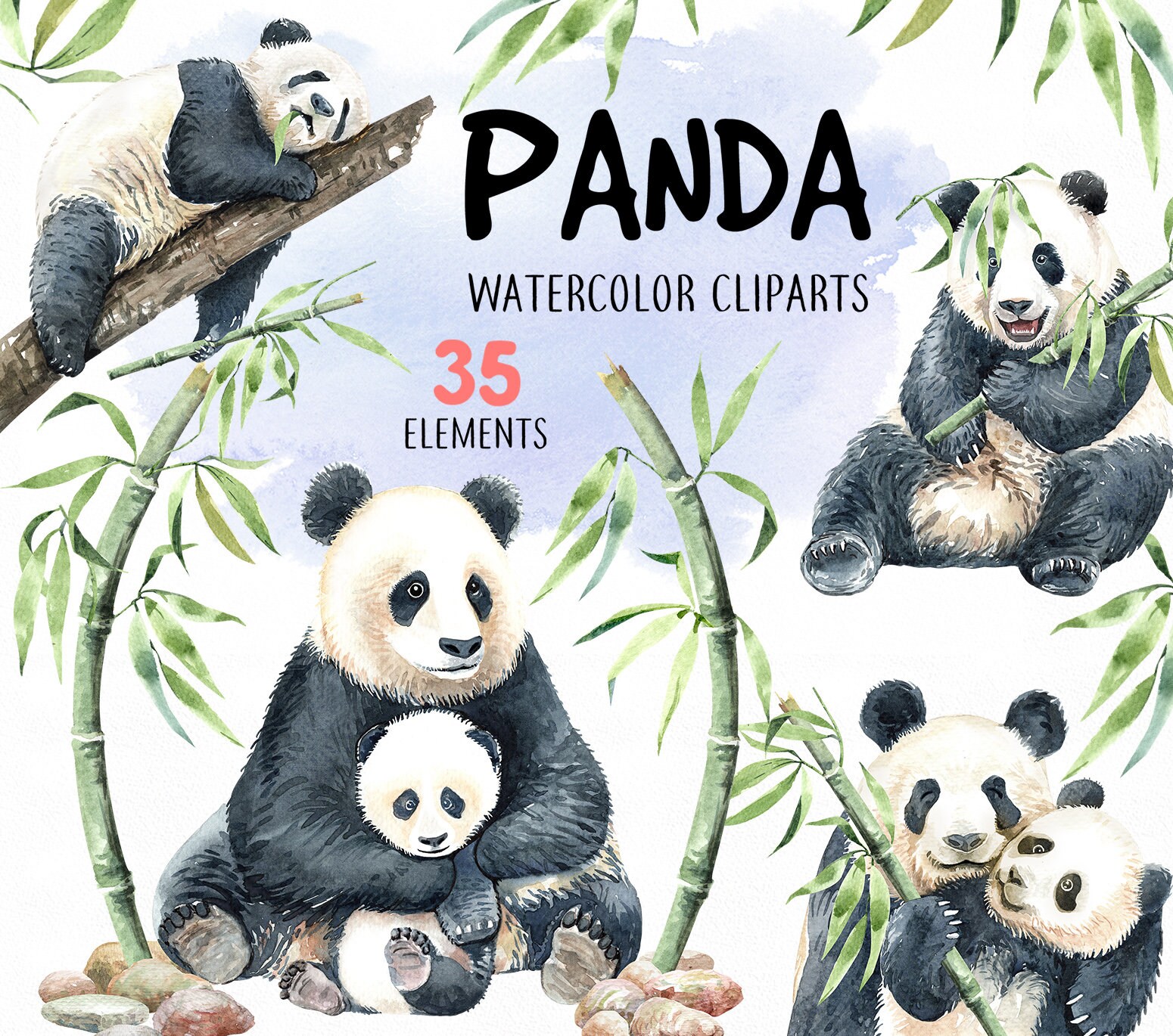Panda Watercolor Animal Clipart Bamboo Forest Baby Panda Etsy Panda Watercolor Animal Clipart Bamboo Forest Baby Panda Etsy