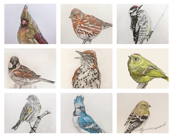 Bird Portraits 8x10 (cardstock, unframed) Bird Art Print, Colored Pencil, Contemporary Wild Bird Art, Contemporary Nature Decor