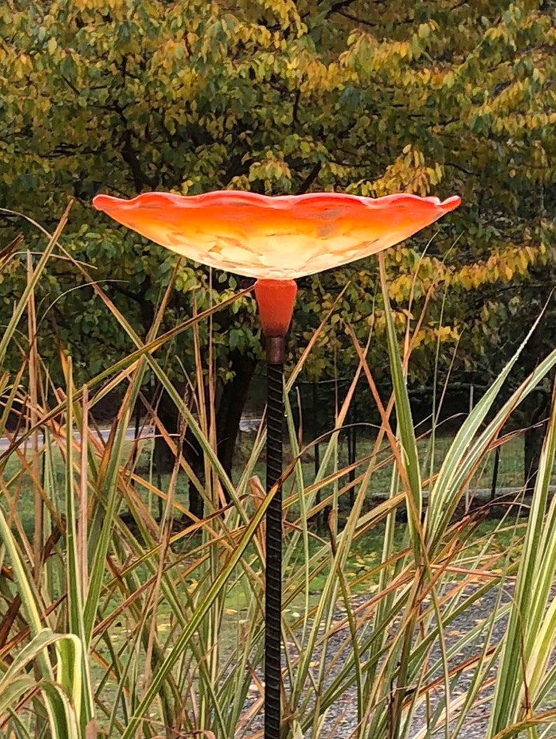 Orange Birdbath seated on top of rebar.