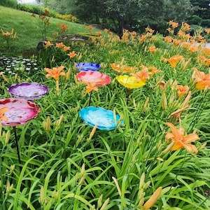 An Addition to a Floral and Garden/Yard Art-Seven Colors of  Free Handmade Sculpted Blown Glass Bird Baths - by LaChaussee_Blown_ Glass