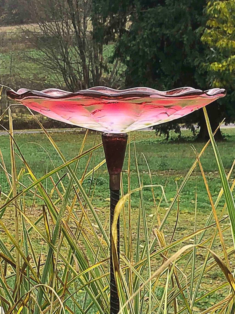 Ruby Bird Bath seated on top of Rebar.