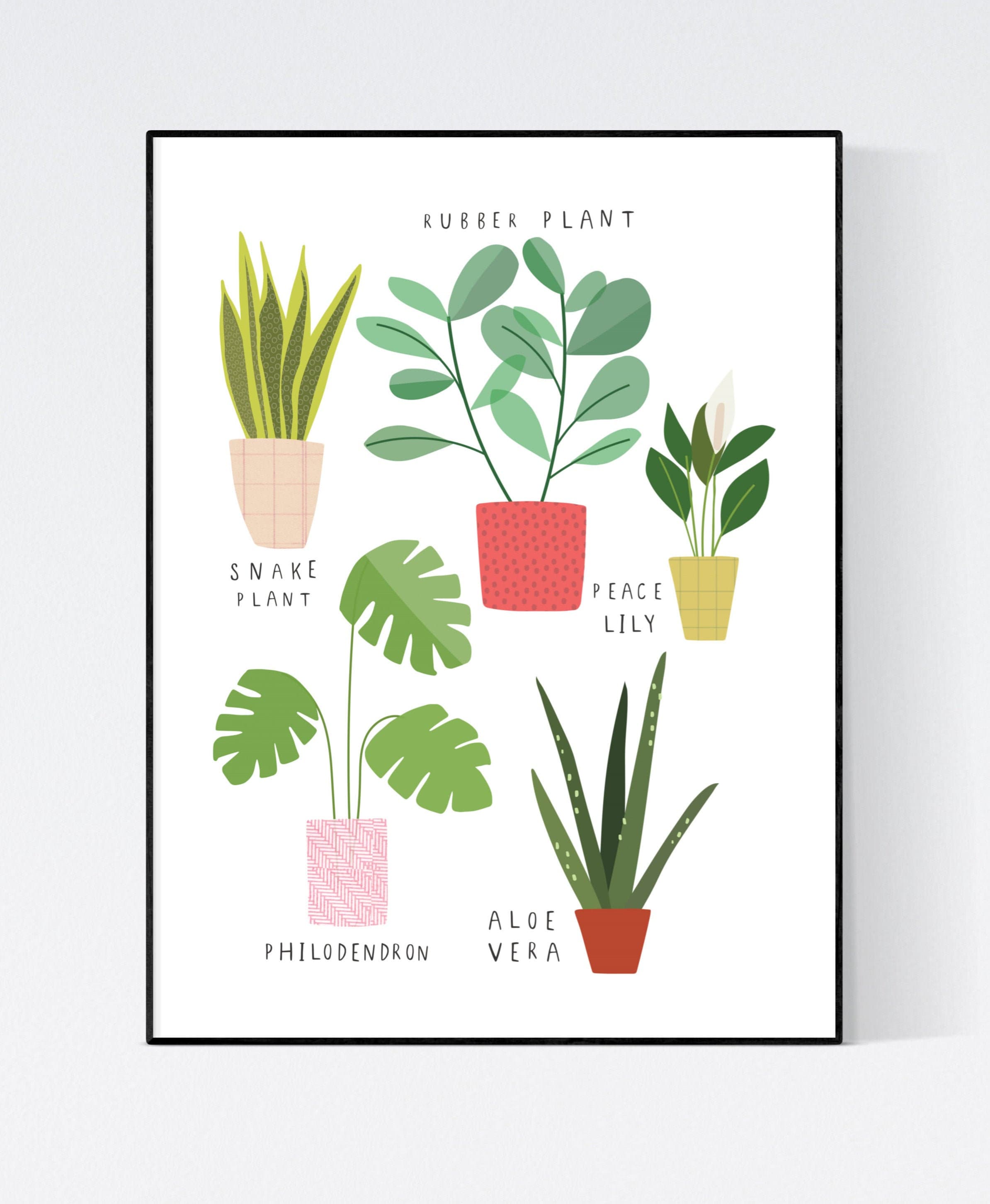 Houseplant Wall Art Wall Art Plant Prints Etsy