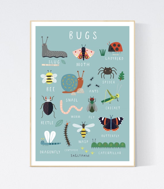 Bugs wall art