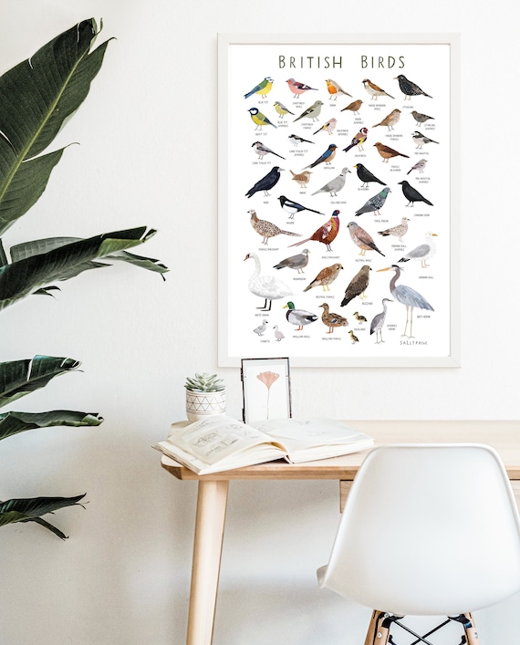 British birds wall art