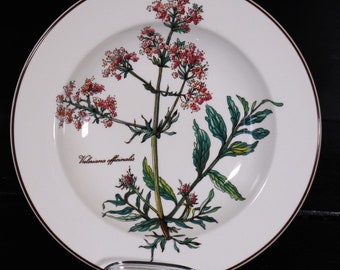 Villeroy & Boch Botanica soup plate 21 cm Valeriana officinalis, valerian #P