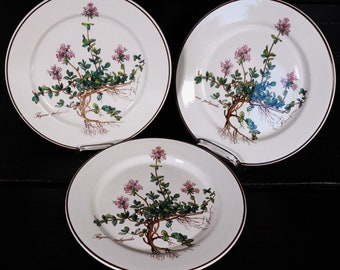 Villeroy & Boch Botanica 3 salad plates 21 cm Thymus pulegioides, pink flowers #P