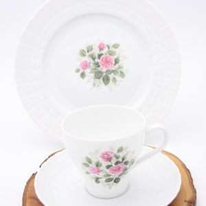 RARE! - Hutschenreuther / Lucina Rosita / Cake Plate+Cup+Saucer / #V6