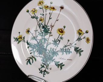 Villeroy & Boch Botanica assiette plate 27 cm Anthemis tinctoria #V4