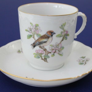 Royal Copenhagen / Vogel / 2558 / Garden Song / Kaffeegedeck 2-teilig #R