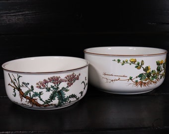 Villeroy & Boch Botanica Set salad bowl 23 cm and 20 cm side bowl #Y3