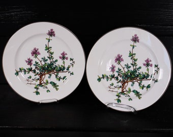 Villeroy & Boch Botanica 2x Salatteller 21 cm Thymus pulegioides #P