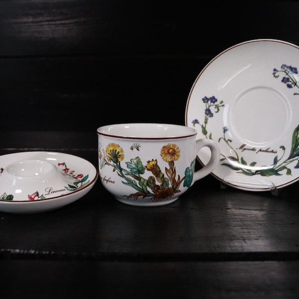 Villeroy & Boch Botanica Frühstückstasse mit Untere und Eierbecher #V1