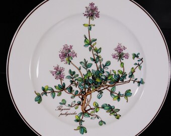 Villeroy & Boch Botanica salad plate 21 cm Thymus pulegioides purple blossom TOP #P