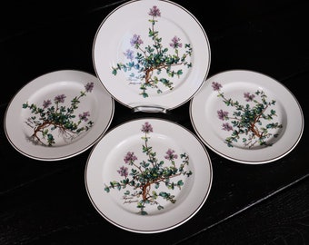 Villeroy & Boch Botanica 4x Salatteller 21 cm Thymus pulegioides, gebraucht #P