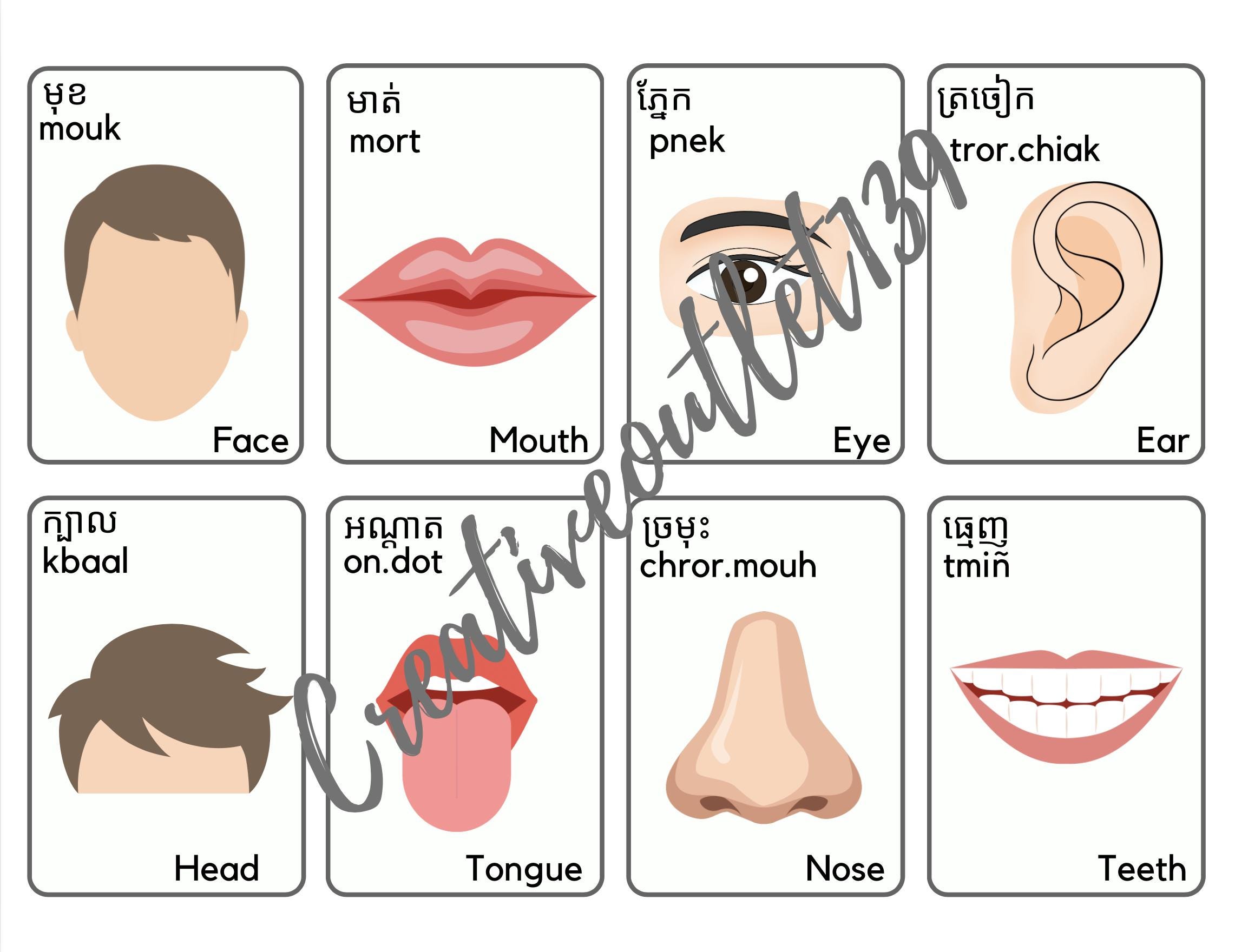 body-parts-in-khmer-32-flashcards-etsy