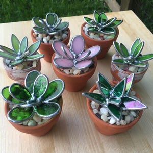May include: A collection of handcrafted glass succulent plants in small terracotta pots. The succulents feature various shades of green and pink glass, with silver solder detailing. Each pot is filled with small white pebbles.