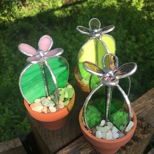 May include: Three small stained glass cactus plants in terracotta pots. Each cactus has a different colored flower on top, pink, green, and purple. The cactus plants are surrounded by small green and white glass pebbles.