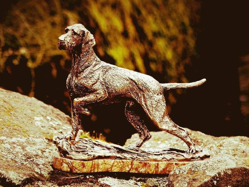 Wirehaired Vizsla Bronze Statue | Etsy