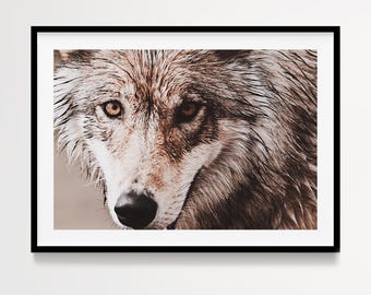 Wolf Photography Print, Wildlife Wall Art, Neutral Animal Photography, Rustic Cabin Decor