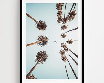 California Palm Trees Wall Art, Airplane Sky Photo, Modern Tropical Print