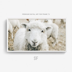 Samsung Frame TV Art Sheep Farm Animal, Boho Rustic Home Decor Art Instant Download, Cute Sheep Art for Samsung Frame TV
